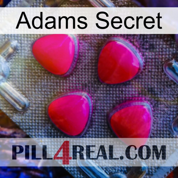 Adams Secret 13.jpg